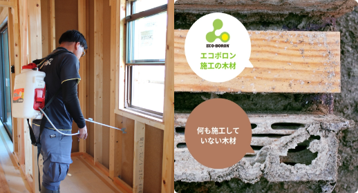 シロアリ保証